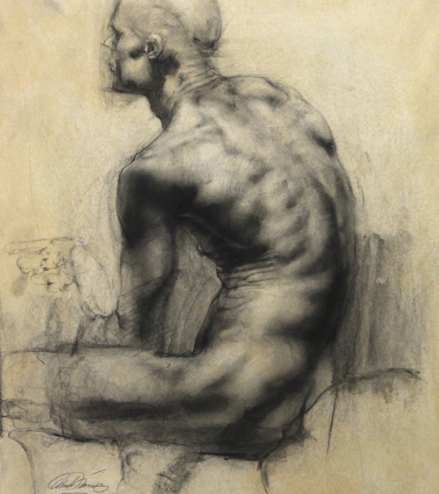Charles Miano, Male torso from behind, charcoal on paper, 20x24